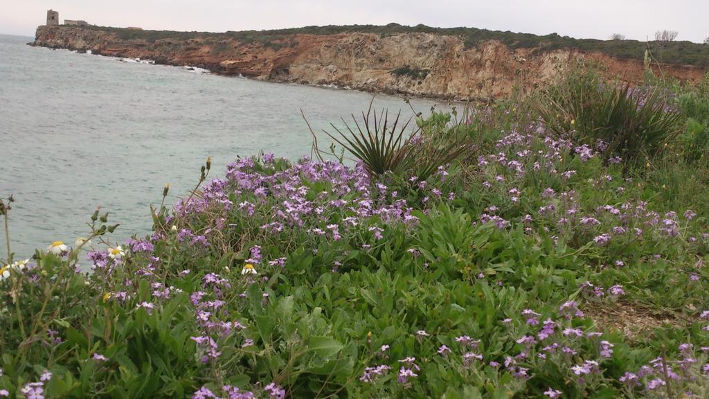 S'Apprigu B&B Càbras Dış mekan fotoğraf
